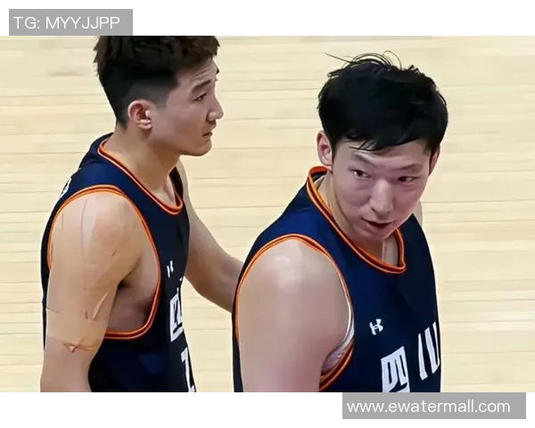 2013赛季CBA精彩对决山东队与北京队的巅峰对抗回顾