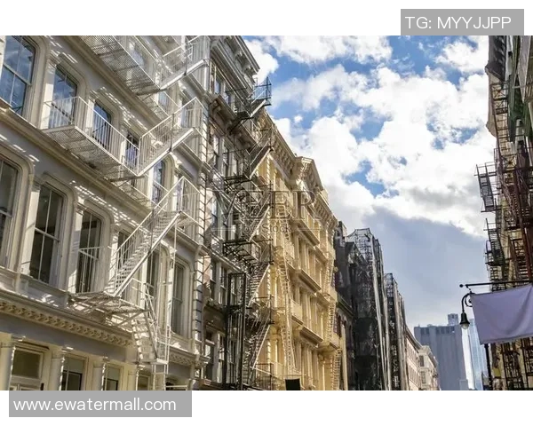 康乃狄阳光与纽约的对决谁将成为城市之光的引领者