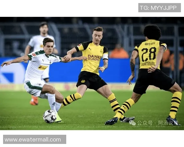 斯图加特主场迎战卡尔全力争胜力争积分榜上升