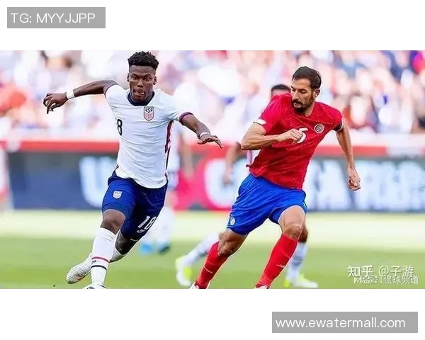 中华台北与纽西兰比赛前瞻分析及胜负预测解析