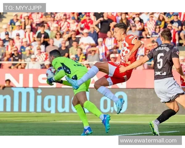 奥地利与芬兰足球对决结果揭晓精彩瞬间回顾