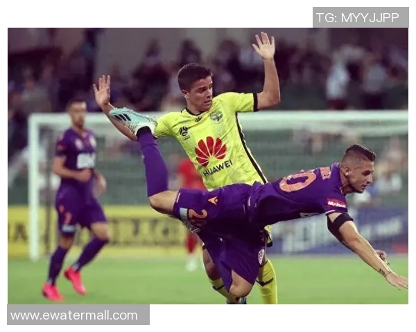 柏斯光荣与惠灵顿凤凰的激烈对决展现足球魅力与团队精神的巅峰之战