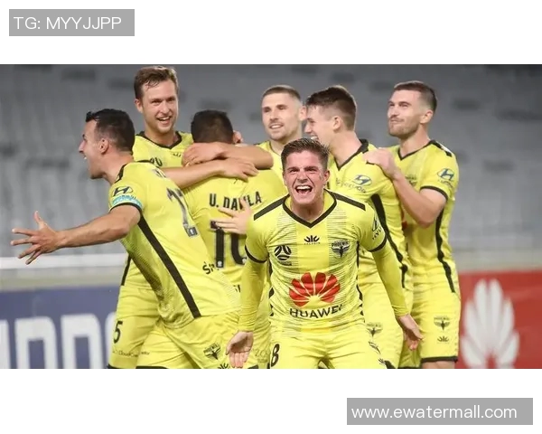 西悉尼足球队迎战惠灵顿凤凰队激情对决展现澳超联赛魅力与竞争力 西悉尼足球队迎战惠灵顿凤凰队激情对决展现澳超联赛魅力与竞争力