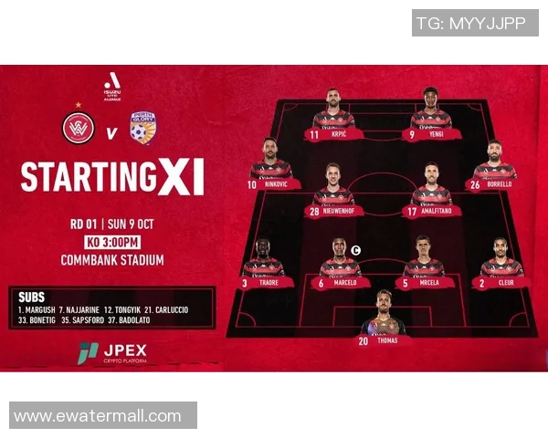 悉尼与珀斯比赛数据深度分析及趋势预测探讨