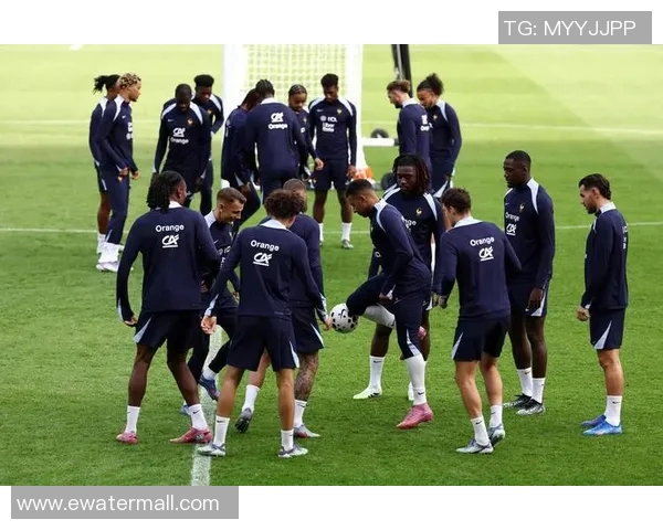 斯洛文尼亚迎战法国足球强队期待精彩对决与精彩进球