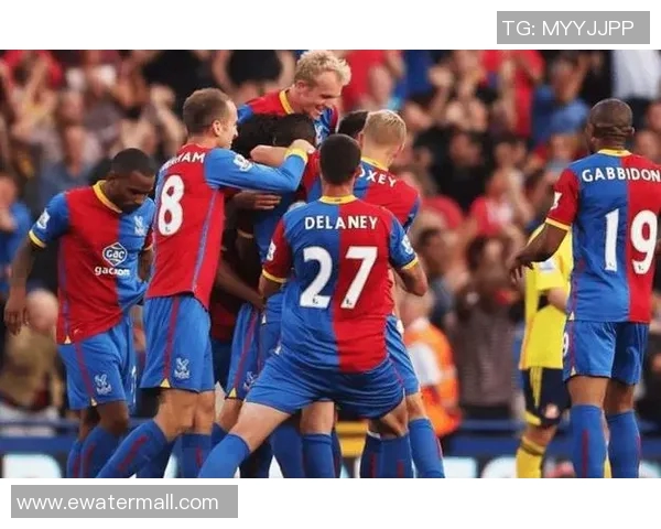 水晶宫主场迎战伯恩队全力争胜期待精彩对决