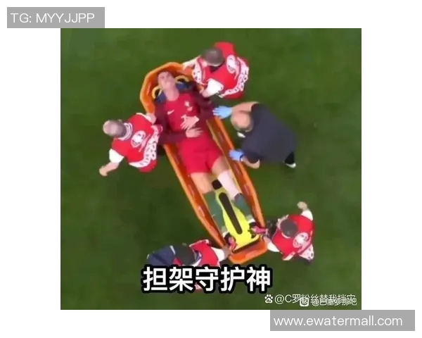 球迷冲进场内抢夺C罗球衣引发欧冠赛场奇葩事件 球迷冲进场内抢夺C罗球衣引发欧冠赛场奇葩事件