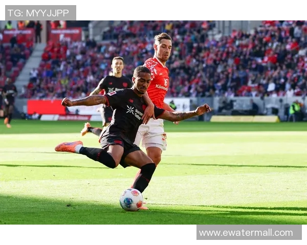 科科隆与美因茨激战在即谁能在德甲赛场上笑到最后