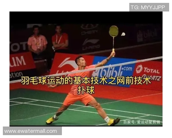 科学羽毛球训练指南:提升个人能力的有效方法与技巧分享MBA