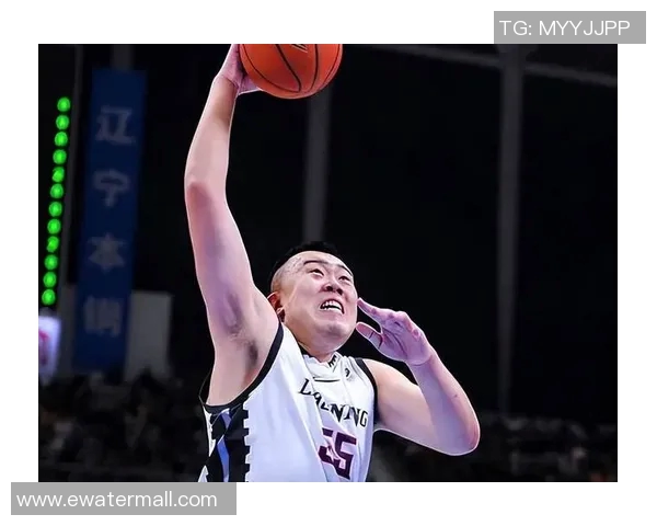 韩德君：从篮球新星到CBA传奇的成长之路与未来展望