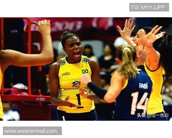 深度对话：张秀英如何在排球世界中书写属于自己的传奇人生