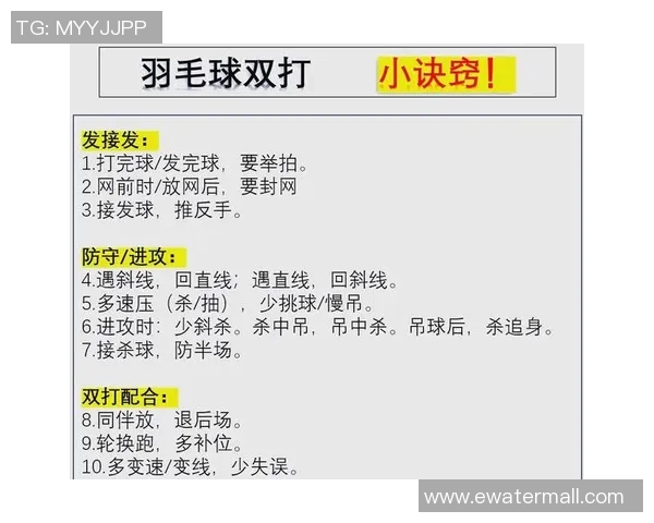 深入分析杭州羽毛球队区域防守战术及其在比赛中的应用效果